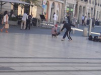 /album/fenykepgaleria/p8130594-jpg/