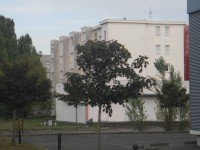 /album/fenykepgaleria/p8160656-jpg/
