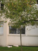 /album/fenykepgaleria/p8160657-jpg/