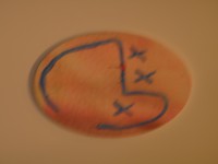 /album/fenykepgaleria/p8170719-jpg/