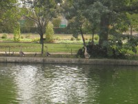 /album/fenykepgaleria/p8240731-jpg/